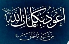 ٢٠٢٥٠٨٠٨_٠٣٤٩٤٢.jpg