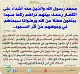 12874000404_baf74de50a_c.jpg