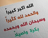 تنزيل (12).jpg