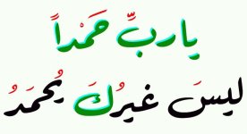 تنزيل (11).jpg