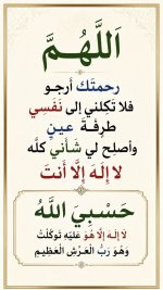 تنزيل (4).jpg