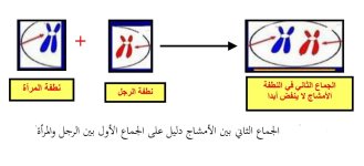 1000105045.jpg