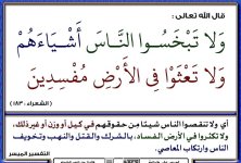 p-almal030.jpg