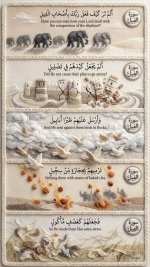 photo_٢٠٢٦-٠٦-82_٢٠-١٧-٥٨.jpg