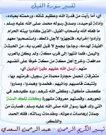 photo_٢٠٢٦-٠٦8452_٢٠-١٧-٥٨.jpg