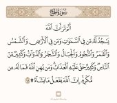 photo_2026-0102-23_07-39-41.jpg