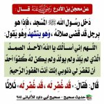 photo_٢٠٢٦-٠٧-٢١_٢25٢-٠٨-٢٣.jpg