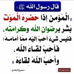 photo_٢٠٢8٦-٠٧-٢١_٢٢-٠٨-١٩.jpg
