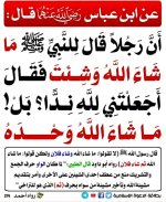 photo_٢٠٢٦-١٠-١2٢_٠٣-٠١-١٤.jpg