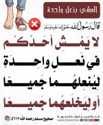 photo_٢٠٢٦-٠٨-٢5٠_٢١-٠٥-٢١.jpg