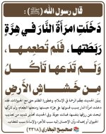 photo_٢٠٢٦-١٠-٠٥_٠٩-١٨-٥٧.jpg