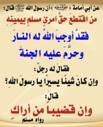 photo_٢٠٢٦-٠٨-١6٥_٠٧-٣٨-٤٨.jpg